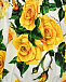 Топ с принтом &quot;желтые розы&quot; Dolce&Gabbana | Фото 3
