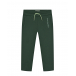 Темно-зеленые спортивные брюки Scotch&Soda | Фото 1