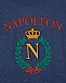 Синяя футболка для мальчиков с принтом &quot;Napoleon&quot; Dolce&Gabbana | Фото 3