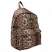Леопардовый рюкзак, 33x34x11 см Roberto Cavalli | Фото 2