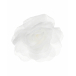 Белая брошь с розой Philosophy Di Lorenzo Serafini | Фото 1