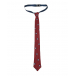 Красный галстук в мелкий квадртат Aletta | Фото 1
