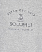 Серый свитшот с принтом &quot;Dream out loud&quot; Brunello Cucinelli | Фото 3